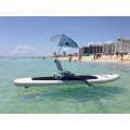 Tablero de paletas inflable Sup Kayak Surfboard Surfing